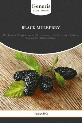 bokomslag Black Mulberry