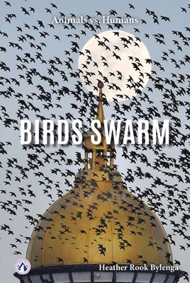 Birds Swarm 1