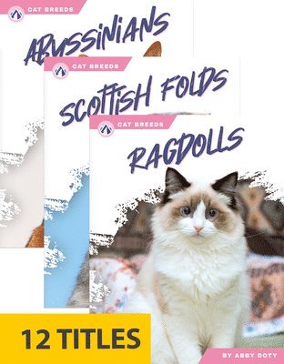 bokomslag Cat Breeds (Set of 12)