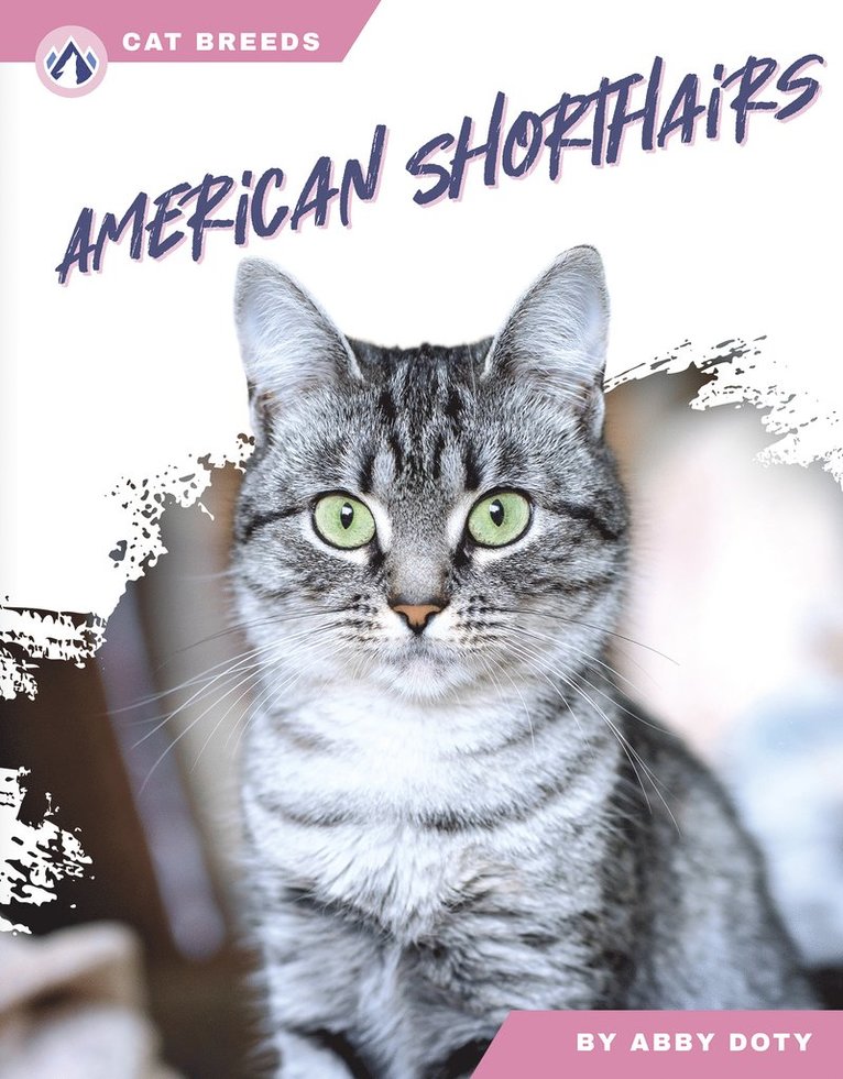 Abby Doty - American Shorthairs, Inbunden