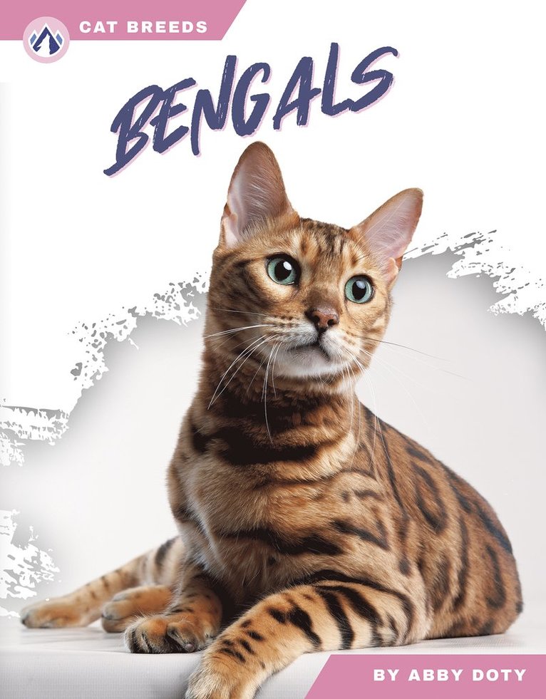Abby Doty - Bengals, Inbunden