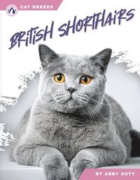 bokomslag British Shorthairs