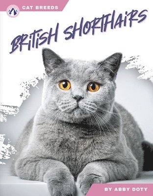 Abby Doty - British Shorthairs, Inbunden