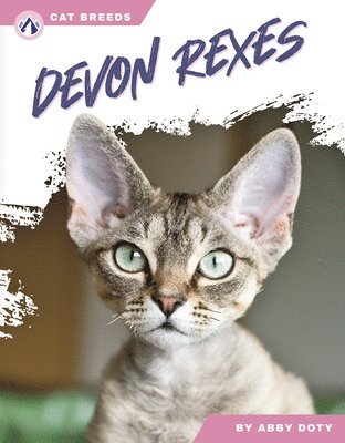 bokomslag Devon Rexes