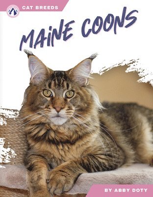 Abby Doty - Maine Coons, Inbunden