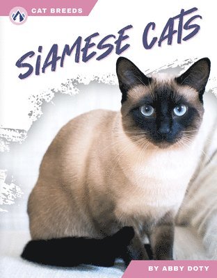 Siamese Cats 1