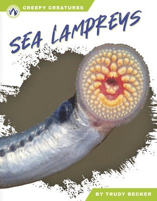 Sea Lampreys 1