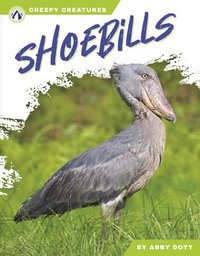 bokomslag Shoebills