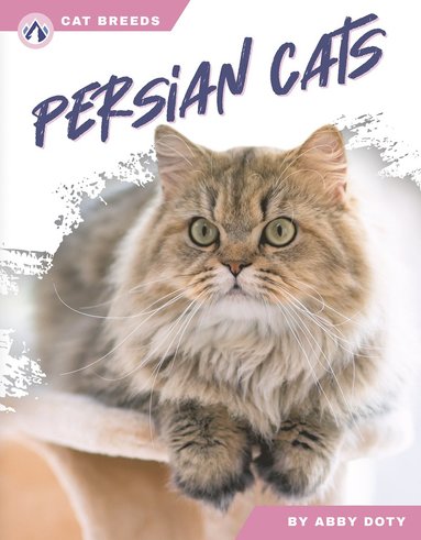 bokomslag Persian Cats