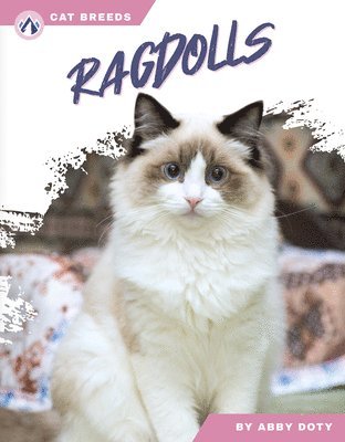 bokomslag Ragdolls