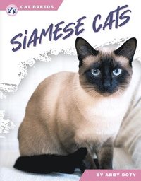 bokomslag Siamese Cats