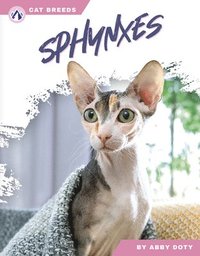 bokomslag Sphynxes
