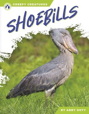 Shoebills 1