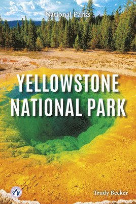 Yellowstone National Park 1