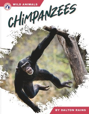 bokomslag Chimpanzees