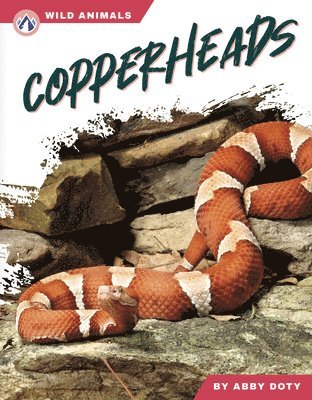 bokomslag Copperheads