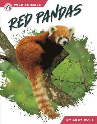 bokomslag Red Pandas