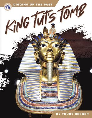 bokomslag King Tut's Tomb