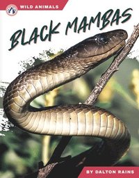 bokomslag Black Mambas