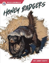 bokomslag Honey Badgers