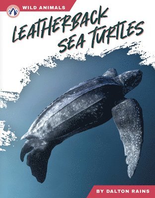 bokomslag Leatherback Sea Turtles