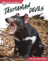 bokomslag Tasmanian Devils