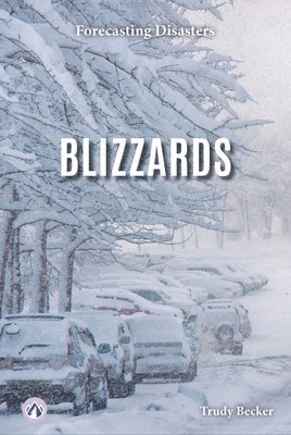 bokomslag Blizzards