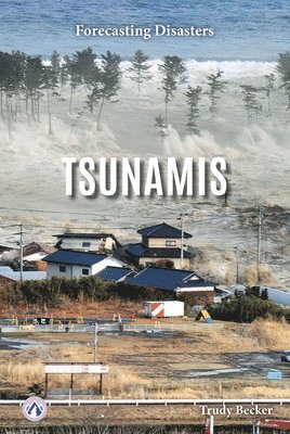 bokomslag Tsunamis