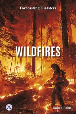 Wildfires 1