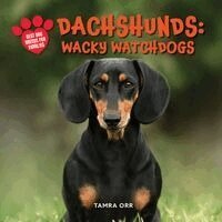 Tamra Orr - Dachshunds: Wacky Watchdogs, Inbunden