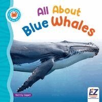Kerrily Sapet, Morgan Brody - All about Blue Whales, Inbunden. Tillgänglighet: Lägg i varukorg