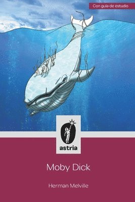 bokomslag Moby Dick