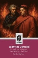 bokomslag Divina Comedia (Un viaje por el infierno, el purgatorio y el paraíso)