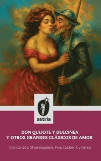 bokomslag Don Quijote y Dulcinea y otros grandes clásicos de amor