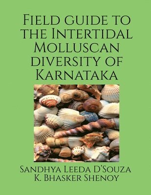 bokomslag Field guide to the intertidal molluscan diversity of Karnataka