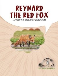 bokomslag Reynard - The Red Fox: Nature the source of knowledge