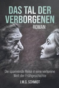 bokomslag Das Tal der Verborgenen
