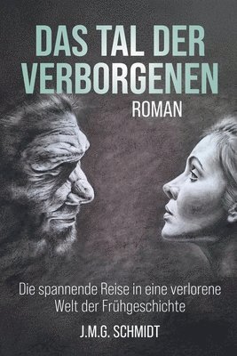 bokomslag Das Tal der Verborgenen