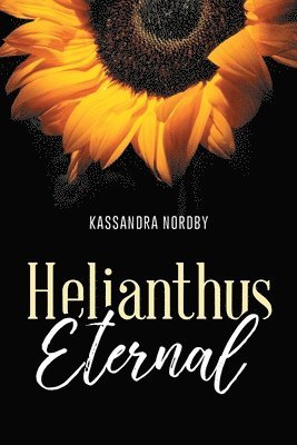 Helianthus Eternal 1