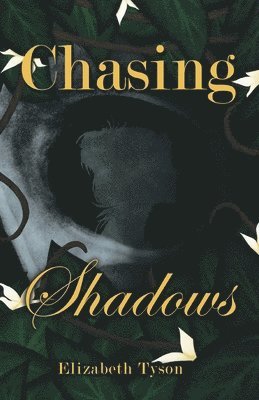 Chasing Shadows 1