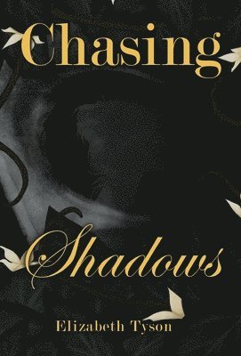 Chasing Shadows 1