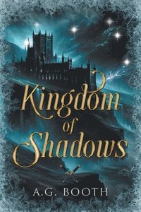 bokomslag Kingdom of Shadows