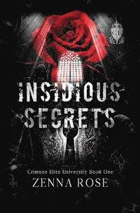 bokomslag Insidious Secrets