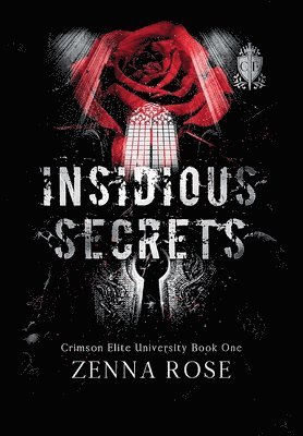 bokomslag Insidious Secrets