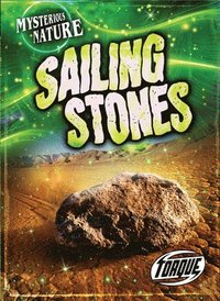 bokomslag Sailing Stones