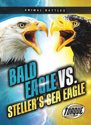 bokomslag Sommer, N: Bald Eagle vs. Steller's Sea Eagle