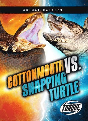 Cottonmouth vs. Snapping Turtle 1