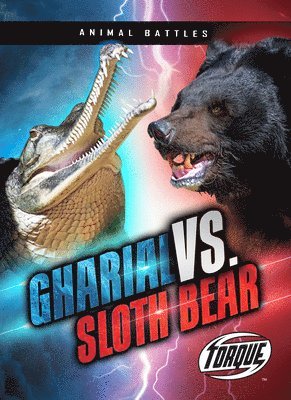 Gharial vs. Sloth Bear 1