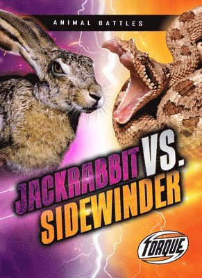 bokomslag Sommer, N: Jackrabbit vs. Sidewinder
