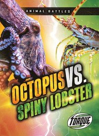 bokomslag Octopus vs. Spiny Lobster